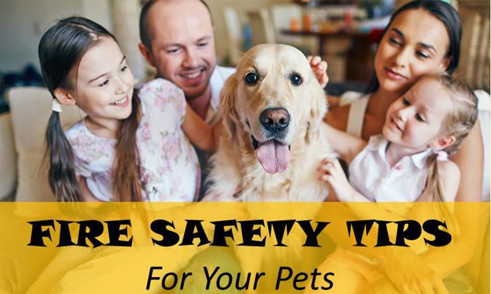 fire safety tips for pets