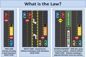 an infographic explaining Georgia's new school bus law