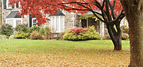 the front yard of a house during an autumn day
