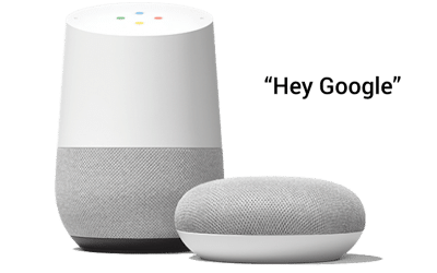 Google and Alexa Security Controls