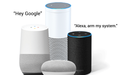 Arm Your System with Google or Alexa