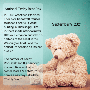 National Teddy Bear Day an EMC security sign in front of a house